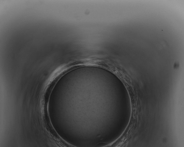 X0000097990295200804011815