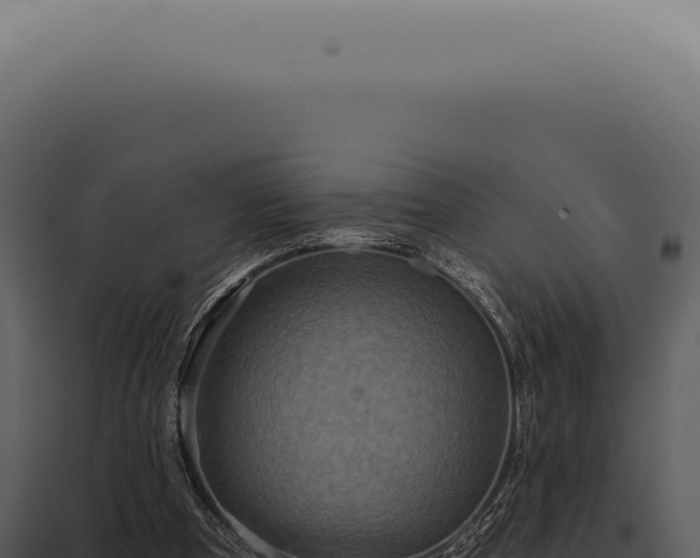 X0000097990297200804011815