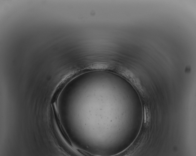 X0000097990300200804011815