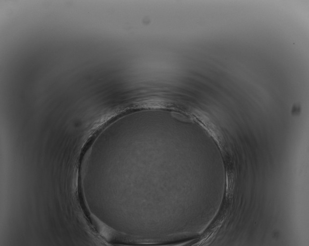 X0000097990301200804011815