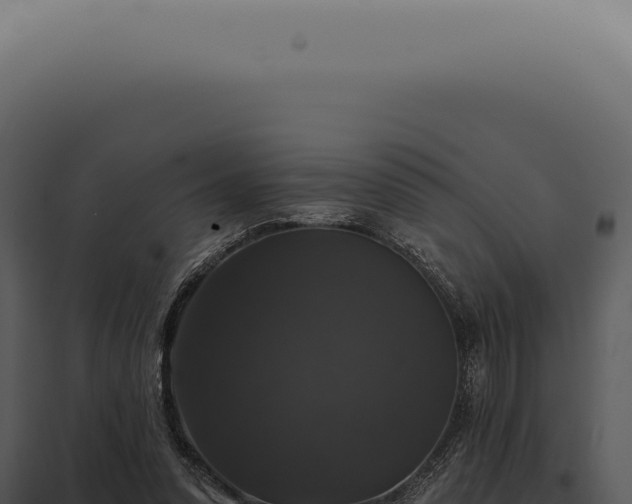 X0000097990303200804011815