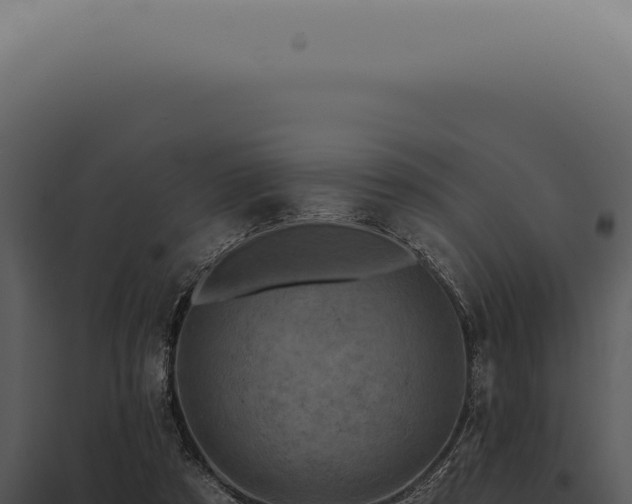 X0000097990305200804011815