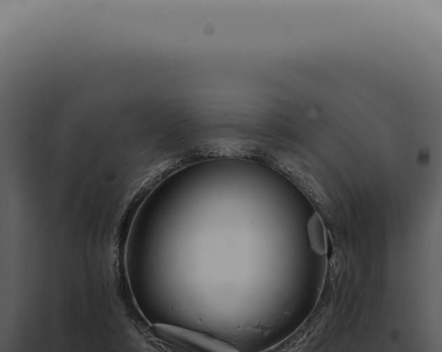 X0000097990306200804011815