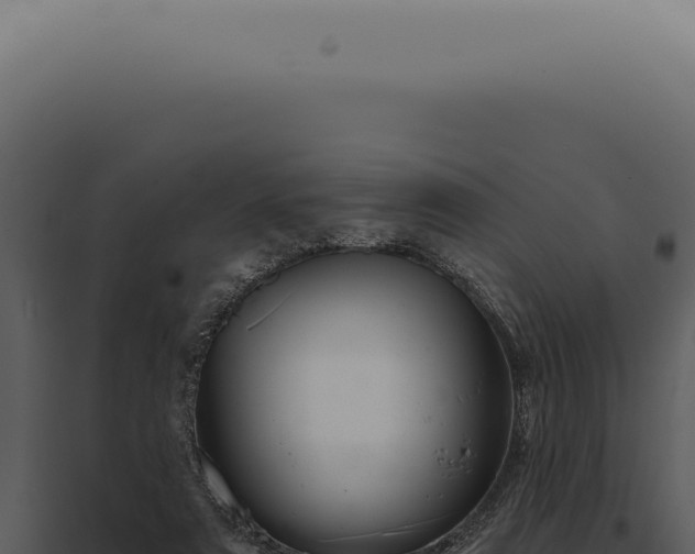 X0000097990307200804011815