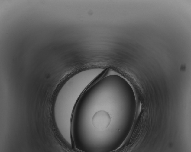X0000097990308200804011815