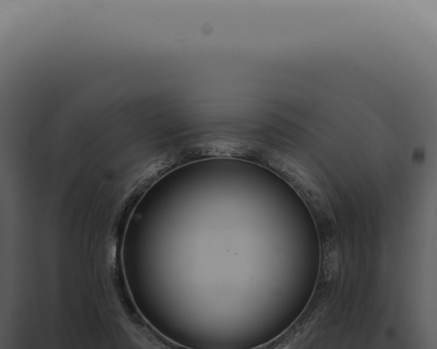 X0000097990310200804011815