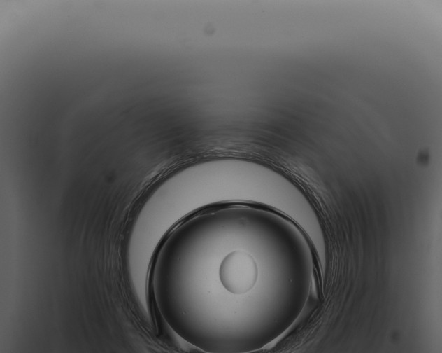X0000097990312200804011815
