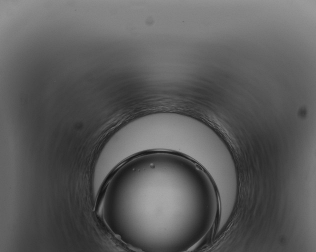 X0000097990313200804011815