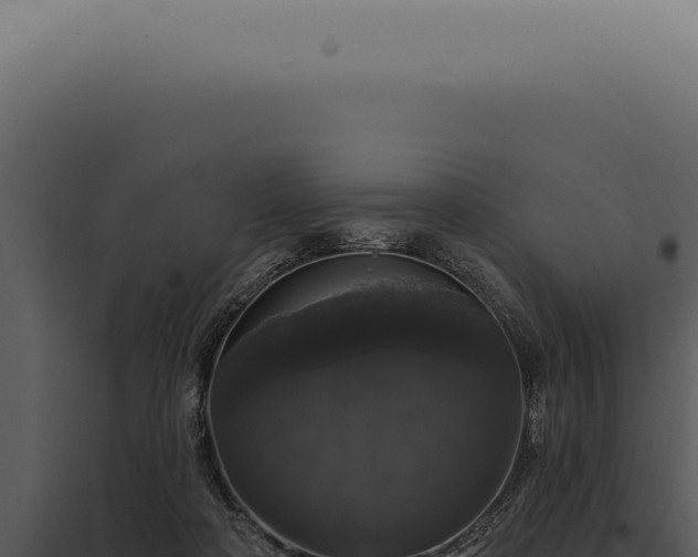 X0000097990314200804011815