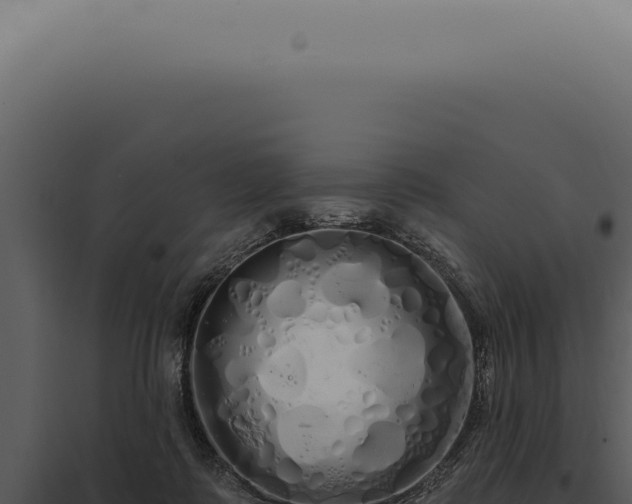 X0000097990315200804011815