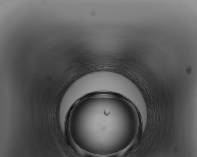 X0000097990316200804011815