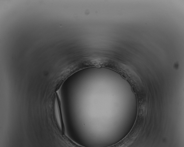 X0000097990317200804011815