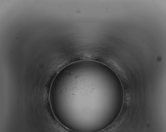 X0000097990318200804011815
