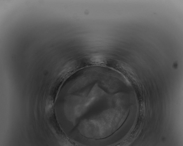X0000097990320200804011815