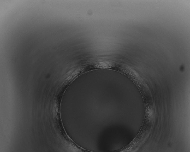 X0000097990322200804011815