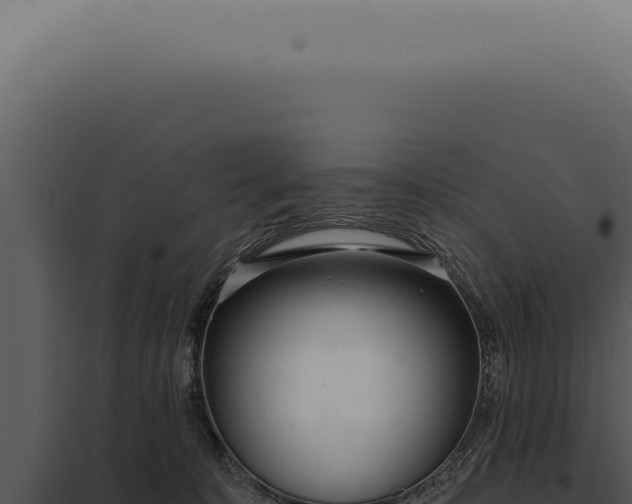 X0000097990323200804011815
