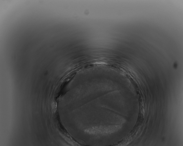 X0000097990324200804011815