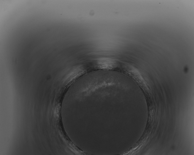 X0000097990325200804011815