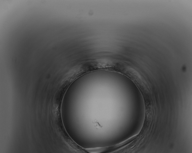 X0000097990327200804011815