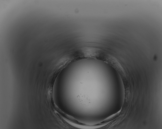 X0000097990329200804011815