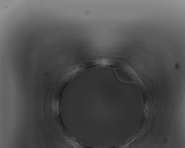 X0000097990330200804011815