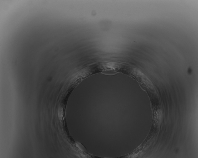 X0000097990331200804011815