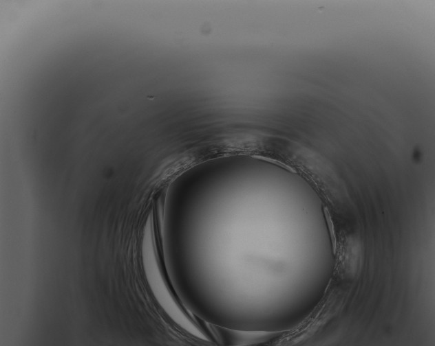 X0000097990333200804011815