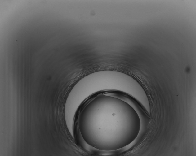X0000097990336200804011815