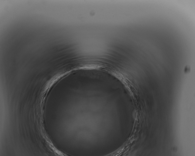 X0000097990337200804011814