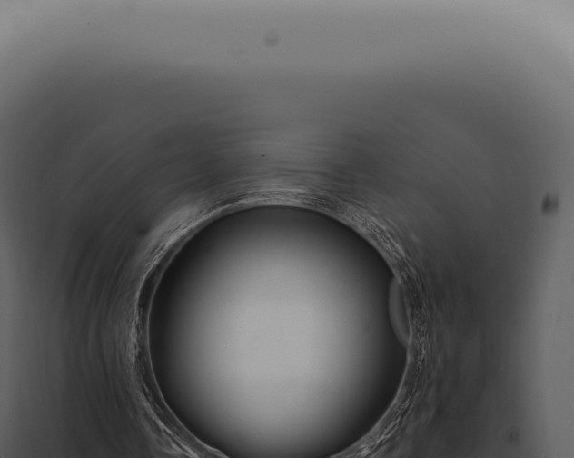 X0000097990338200804011814