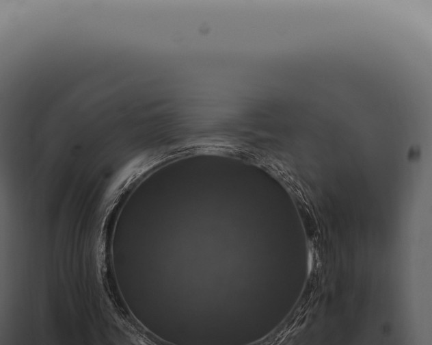 X0000097990339200804011814