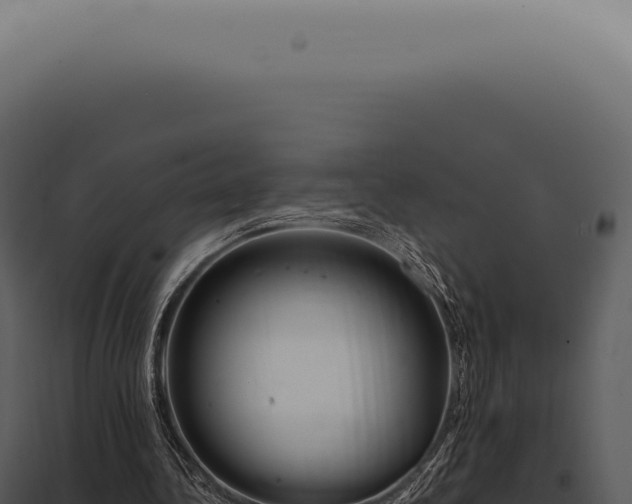 X0000097990340200804011814