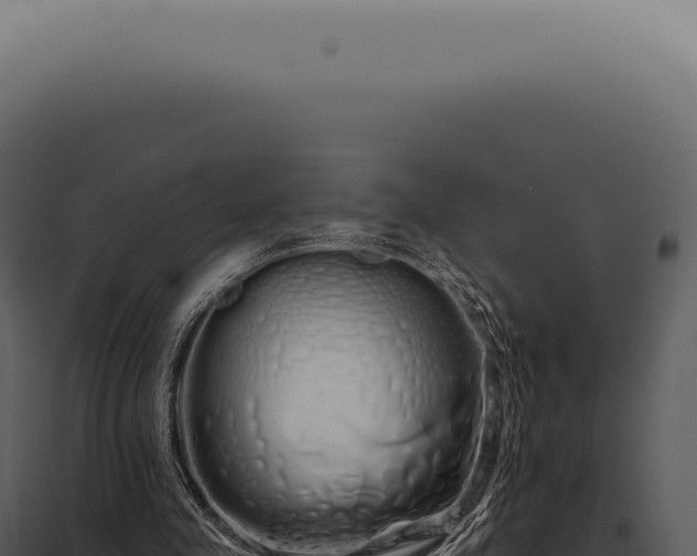 X0000097990341200804011814