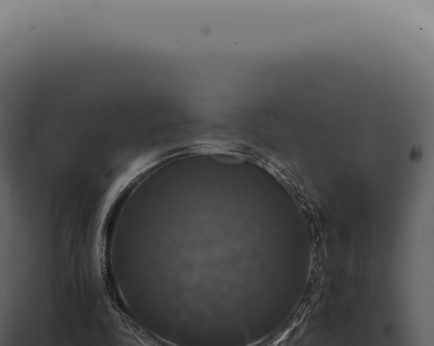 X0000097990343200804011814