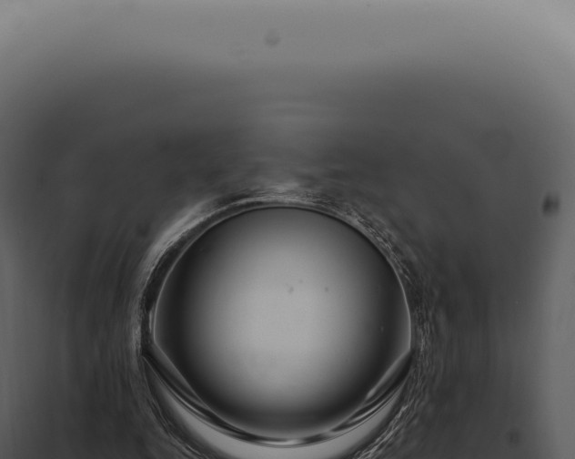 X0000097990344200804011814