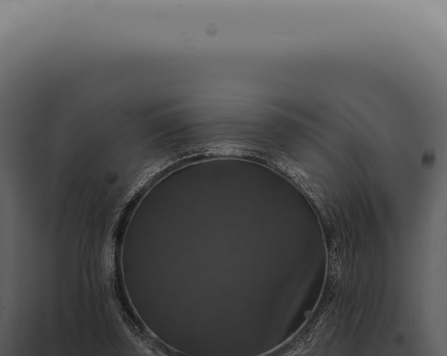 X0000097990347200804011814
