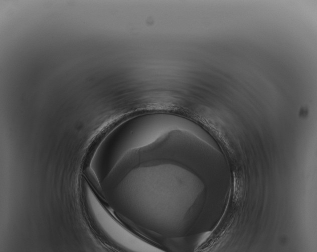 X0000097990348200804011814