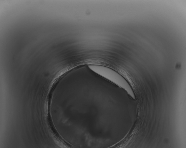 X0000097990349200804011814