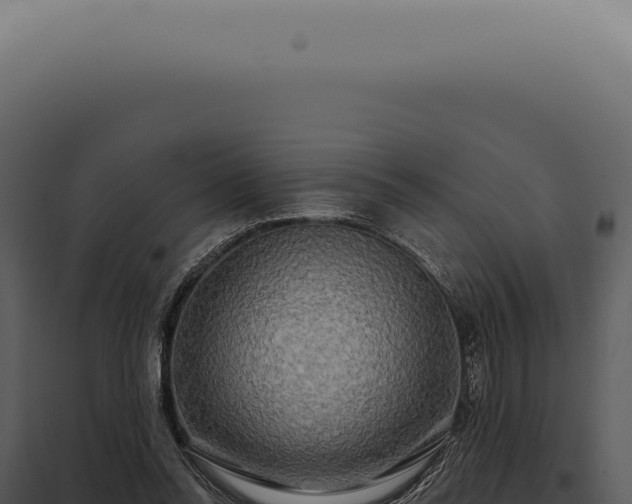 X0000097990350200804011814