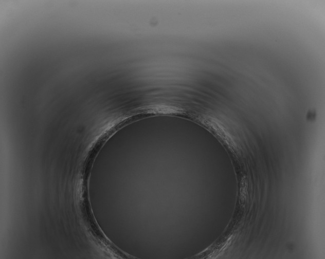 X0000097990351200804011814