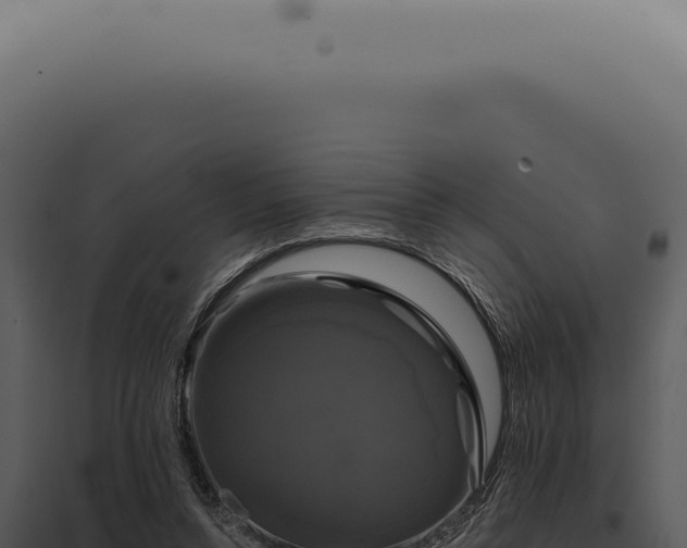 X0000097990352200804011814
