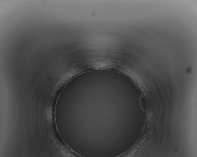 X0000097990353200804011814