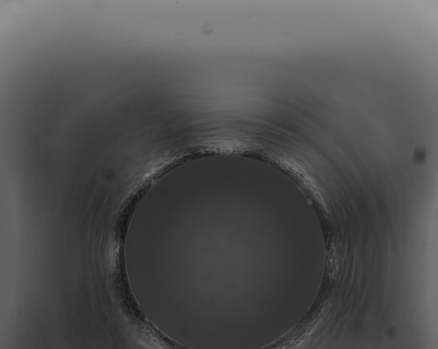 X0000097990355200804011814