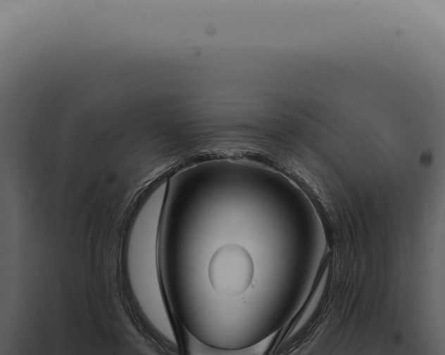 X0000097990356200804011814