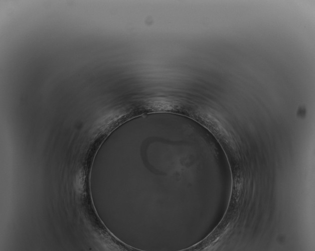 X0000097990359200804011814