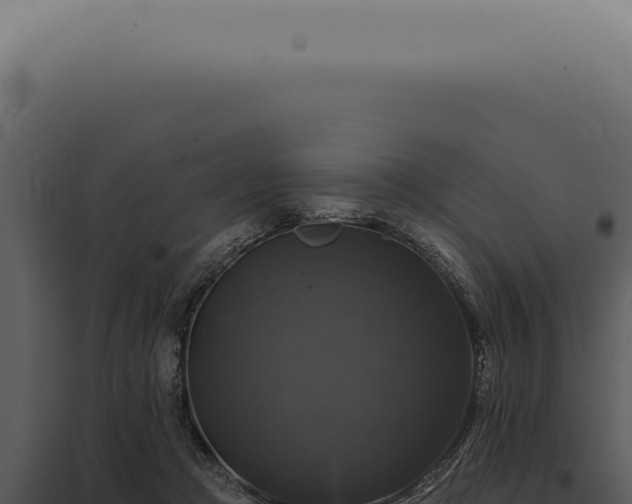 X0000097990361200804011814