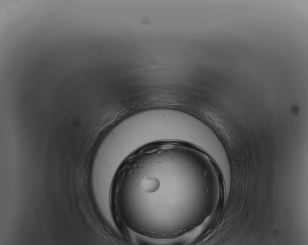 X0000097990362200804011814
