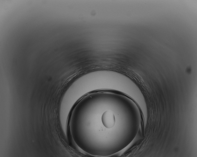 X0000097990364200804011814