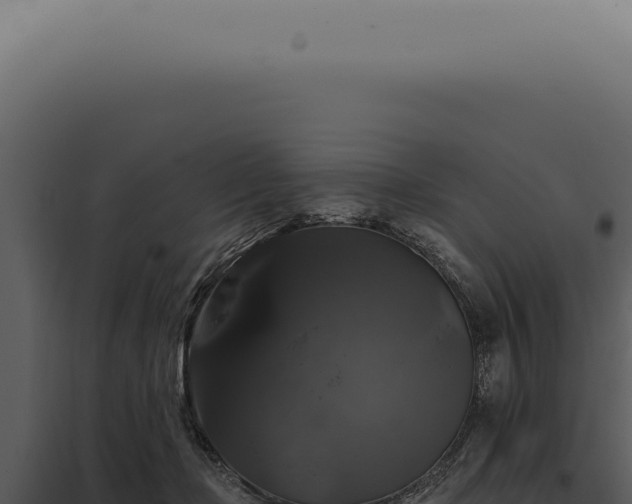 X0000097990365200804011814