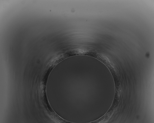 X0000097990366200804011814